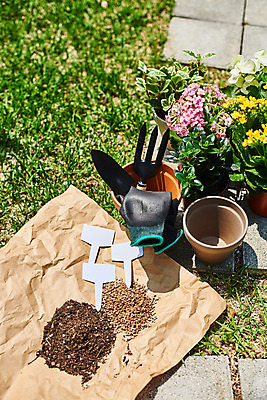 포토 JPG 주간 식물 화분 화초 장갑 자연 주택 취미 사람없음 야외 초록색 하이앵글 정원 흙 모종삽 원예 베고니아 분갈이 카랑코에 홈가드닝 레마탄 무늬산호수 반려식물 국내포토 자연요소 잡화 꽃 뷰포인트 컬러 건물 삽 생태계 파일형식 공기정화식물