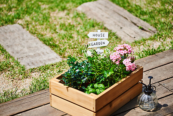 포토 JPG 주간 식물 화분 화초 자연 주택 취미 사람없음 야외 초록색 정원 물뿌리개 원예 아이비 바질 로즈메리 홈가드닝 무늬산호수 반려식물 국내포토 자연요소 컬러 건물 허브 생태계 파일형식