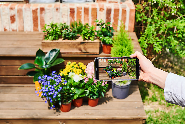 포토 JPG 주간 식물 손 여자 화분 화초 자연 주택 한명 20대 취미 야외 신체부위 초록색 스마트폰 정원 사진촬영 한국인 원예 아이비 로벨리아 베고니아 율마 초코민트 카랑코에 홈가드닝 스피아민트 반려식물 국내포토 자연요소 1 꽃 컬러 사람 동양인 청년 건물 핸드폰 스마트기기 촬영 민트 허브 생태계 파일형식