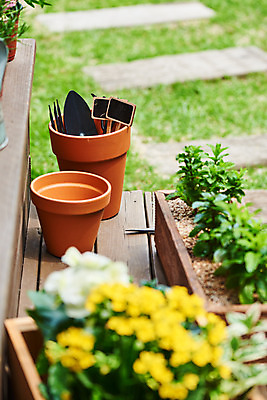 포토 JPG 주간 식물 화분 화초 자연 주택 취미 사람없음 야외 초록색 정원 모종삽 원예 베고니아 초코민트 카랑코에 홈가드닝 스피아민트 반려식물 국내포토 자연요소 꽃 컬러 건물 삽 민트 허브 생태계 파일형식