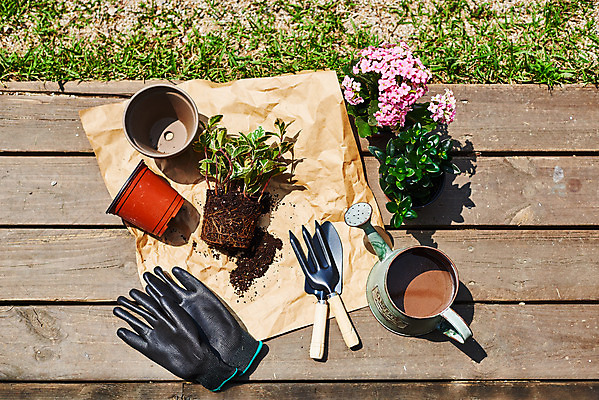 포토 JPG 주간 식물 화초 장갑 자연 주택 취미 사람없음 야외 하이앵글 정원 흙 물뿌리개 모종삽 원예 분갈이 카랑코에 홈가드닝 레마탄 무늬산호수 반려식물 국내포토 자연요소 잡화 뷰포인트 건물 삽 생태계 파일형식 공기정화식물