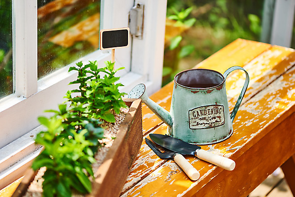 포토 JPG 주간 식물 화분 화초 자연 주택 취미 사람없음 야외 정원 물뿌리개 모종삽 원예 초코민트 홈가드닝 스피아민트 반려식물 국내포토 자연요소 건물 삽 민트 허브 생태계 파일형식