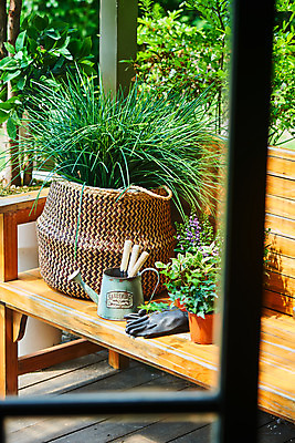 포토 JPG 주간 식물 화분 화초 장갑 벤치 의자 창문 자연 주택 취미 사람없음 야외 초록색 정원 물뿌리개 모종삽 창가 원예 창틀 아이비 홈가드닝 무늬산호수 안젤로니아 반려식물 국내포토 자연요소 잡화 컬러 가구 건물 삽 생태계 파일형식