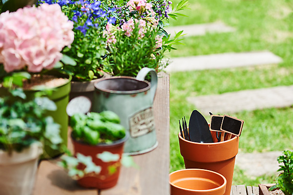 포토 JPG 주간 식물 화분 화초 자연 주택 취미 사람없음 야외 아웃포커스 정원 물뿌리개 모종삽 원예 수국 아이비 바질 로즈메리 로벨리아 홈가드닝 안젤로니아 반려식물 국내포토 자연요소 꽃 촬영기법 건물 삽 허브 생태계 파일형식
