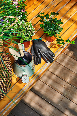 포토 JPG 주간 식물 화분 화초 장갑 벤치 의자 자연 주택 취미 사람없음 야외 초록색 정원 물뿌리개 모종삽 원예 아이비 홈가드닝 무늬산호수 안젤로니아 반려식물 국내포토 자연요소 잡화 컬러 가구 건물 삽 생태계 파일형식