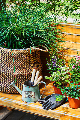 포토 JPG 주간 식물 화분 화초 장갑 벤치 의자 자연 주택 취미 사람없음 야외 초록색 정원 물뿌리개 모종삽 원예 아이비 홈가드닝 무늬산호수 안젤로니아 반려식물 국내포토 자연요소 잡화 컬러 가구 건물 삽 생태계 파일형식