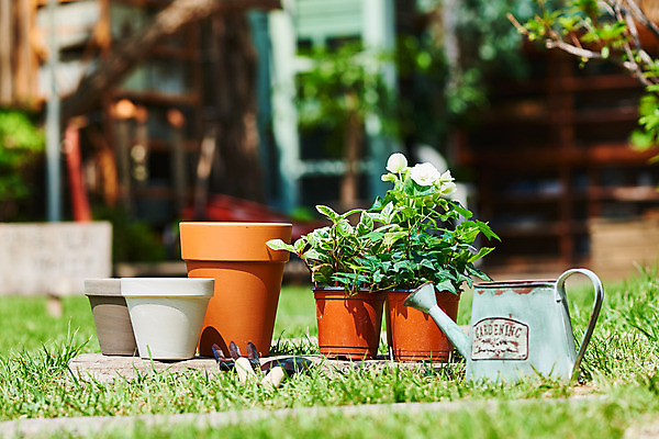 포토 JPG 주간 식물 화분 화초 자연 주택 취미 사람없음 야외 아웃포커스 초록색 정원 물뿌리개 모종삽 원예 아이비 베고니아 홈가드닝 무늬산호수 반려식물 국내포토 자연요소 꽃 컬러 촬영기법 건물 삽 생태계 파일형식