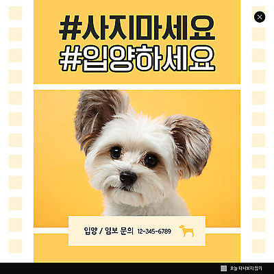 PSD 템플릿 한마리 ZIP 캠페인 웹템플릿 팝업 이벤트팝업 웹팝업 사람없음 반려동물 노란색 개 강아지 반려 유기견 입양 빅팝업 임보 유기동물 이미지템플릿 동물 1 컬러 포유류 보호 파일형식