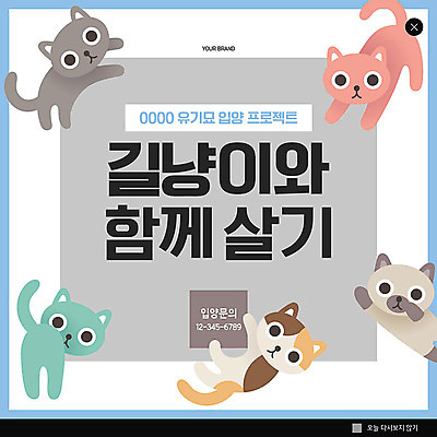 PSD 템플릿 ZIP 캠페인 웹템플릿 여러마리 팝업 이벤트팝업 웹팝업 사람없음 반려동물 고양이 회색 반려 입양 빅팝업 유기묘 유기동물 이미지템플릿 동물 컬러 다수 포유류 파일형식