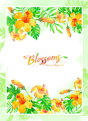 PSD 영어 꽃 백그라운드 잎 일러스트 수채화 프레임 글자캘리그라피 사람없음 초록색 여름 번짐 트로피컬아트 국내일러스트 식물 문자 계절 컬러 캘리그라피 그림 파일형식 효과