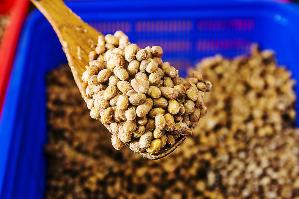 포토 JPG 주간 콩 풍경 사람없음 야외 관광지 된장 충청남도 주걱 공주 충청도 메주 국내여행 청국장 국내포토 자연요소 한식 여행 주방용품 곡류 한국 양념 찌개 파일형식