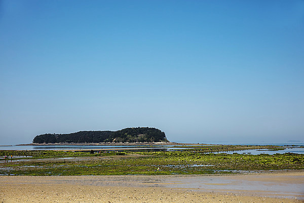 포토 JPG 주간 바다 한국 풍경 사람없음 야외 관광지 해초 충청남도 충청도 국내여행 무창포해수욕장 바닷길 보령 신비의바닷길 국내포토 자연요소 아시아 길 여행 해변 해조류 진도 파일형식