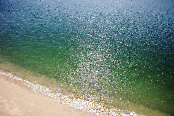 포토 JPG 주간 바다 한국 풍경 사람없음 야외 관광지 해초 충청남도 해수욕장 충청도 국내여행 무창포해수욕장 보령 신비의바닷길 국내포토 자연요소 아시아 여행 해변 해조류 진도 파일형식