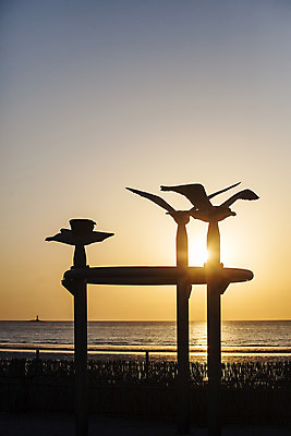 포토 JPG 주간 바다 한국 풍경 사람없음 야외 관광지 태양 노을 일몰 해초 충청남도 해수욕장 충청도 국내여행 무창포해수욕장 보령 신비의바닷길 국내포토 자연요소 아시아 여행 해변 해조류 진도 파일형식