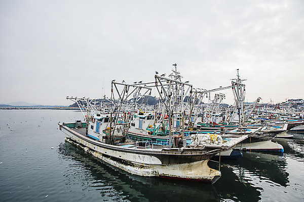포토 JPG 주간 바다 한국 풍경 사람없음 야외 관광지 항구 어선 충청남도 충청도 국내여행 서해안 서천 홍원항 국내포토 자연요소 아시아 여행 배_교통 교통시설 파일형식