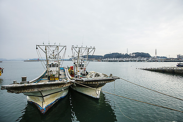 포토 JPG 주간 바다 한국 풍경 사람없음 야외 관광지 항구 어선 충청남도 충청도 국내여행 서해안 서천 홍원항 국내포토 자연요소 아시아 여행 배_교통 교통시설 파일형식