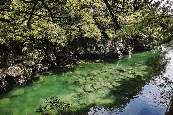 포토 JPG 주간 여행 한국 풍경 사람없음 야외 관광지 제주도 국내여행 올레길 제주도여행 쇠소깍 국내포토 자연요소 아시아 길 강 파일형식