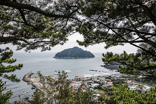 포토 JPG 주간 나무 바다 섬 한국 풍경 사람없음 야외 관광지 제주도 오름 국내여행 올레길 제주도여행 제지기오름 국내포토 자연요소 식물 아시아 길 여행 파일형식