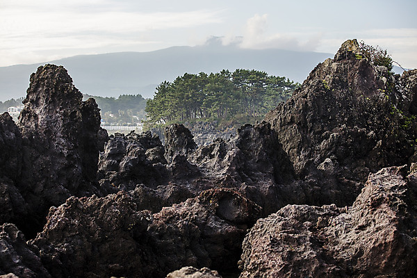 포토 JPG 주간 바다 한국 풍경 해변 사람없음 야외 관광지 제주도 암석 바위 국내여행 올레길 제주도여행 소천지 국내포토 자연요소 아시아 길 여행 돌_바위 파일형식