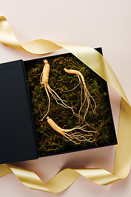 포토 JPG 스튜디오촬영 리본 재료 실내 선물 사람없음 선물상자 하이앵글 한의학 약재 한약재 산삼 건강식품 장뇌삼 플랫레이 분홍색배경 국내포토 음식 뷰포인트 분홍색 백그라운드 의학 건강 내부 상자 약 삼 플랫 파일형식