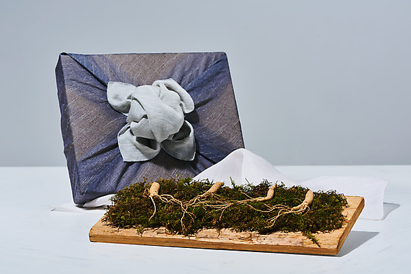 포토 JPG 스튜디오촬영 재료 회색배경 실내 선물 사람없음 선물상자 한의학 약재 한약재 산삼 건강식품 장뇌삼 국내포토 음식 백그라운드 의학 건강 내부 상자 약 회색 삼 파일형식