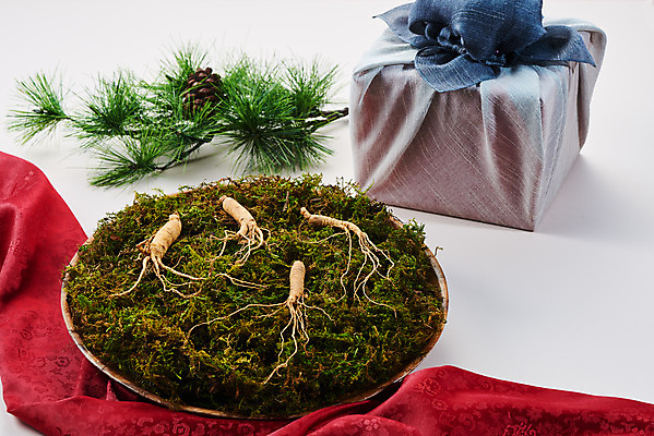 포토 JPG 스튜디오촬영 재료 실내 선물 이끼 사람없음 선물상자 한의학 약재 한약재 보자기 산삼 천 흰배경 건강식품 장뇌삼 국내포토 음식 백그라운드 의학 건강 내부 상자 약 흰색 직물 삼 파일형식 천_직물