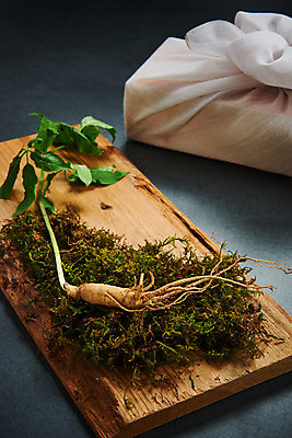 포토 JPG 스튜디오촬영 재료 회색배경 실내 선물 이끼 사람없음 선물상자 한의학 약재 한약재 보자기 산삼 건강식품 장뇌삼 국내포토 음식 백그라운드 의학 건강 내부 상자 약 회색 삼 파일형식 천_직물