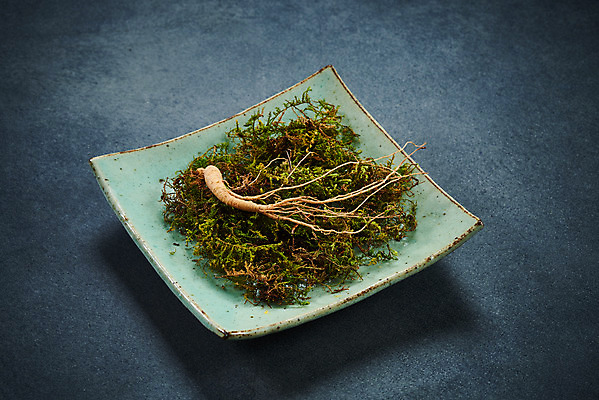 포토 JPG 스튜디오촬영 접시 재료 회색배경 실내 이끼 사람없음 한의학 약재 한약재 산삼 건강식품 장뇌삼 국내포토 식기 음식 백그라운드 의학 건강 내부 약 회색 삼 파일형식