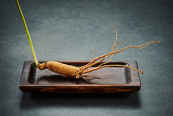 포토 JPG 스튜디오촬영 그릇 재료 회색배경 실내 사람없음 한의학 약재 한약재 산삼 건강식품 장뇌삼 국내포토 식기 음식 백그라운드 의학 건강 내부 약 회색 삼 파일형식