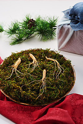 포토 JPG 스튜디오촬영 재료 실내 선물 이끼 사람없음 선물상자 한의학 약재 한약재 보자기 산삼 천 흰배경 건강식품 장뇌삼 국내포토 음식 백그라운드 의학 건강 내부 상자 약 흰색 직물 삼 파일형식 천_직물