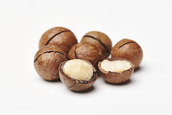 포토 JPG 스튜디오촬영 디저트 건조 실내 사람없음 여러개 견과류 흰배경 유기농 단백질 마카다미아 슈퍼푸드 국내포토 웰빙 음식 다수 백그라운드 내부 흰색 건강식품 영양소 파일형식