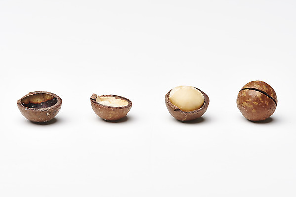 포토 JPG 스튜디오촬영 디저트 건조 실내 사람없음 여러개 견과류 흰배경 유기농 단백질 마카다미아 슈퍼푸드 국내포토 웰빙 음식 다수 백그라운드 내부 흰색 건강식품 영양소 파일형식