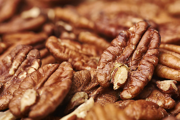 포토 JPG 스튜디오촬영 단면 실내 근접촬영 사람없음 여러개 견과류 유기농 피칸 국내포토 웰빙 뷰포인트 다수 내부 파일형식