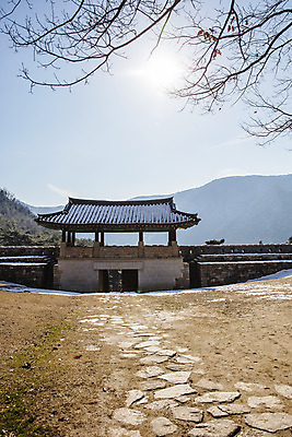 포토 JPG 주간 여행 산 한국 풍경 사람없음 야외 관광지 햇빛 나뭇가지 경상북도 성문 국내여행 문경 성곽길 고모산성 국내포토 자연요소 나무 아시아 길 태양 성 경상도 산성 파일형식