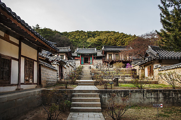 포토 JPG 주간 여행 한옥 풍경 사람없음 야외 관광지 문화재 경상북도 국내여행 도산서원 안동 진도문 국내포토 자연요소 한국전통 고건축 문 경상도 서원 파일형식