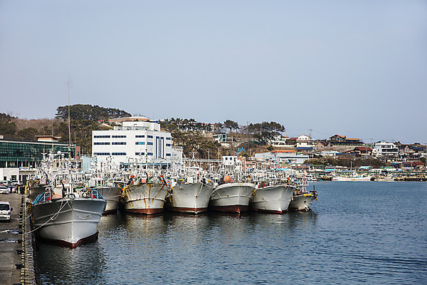 포토 JPG 주간 바다 여행 한국 풍경 사람없음 야외 관광지 항구 경주 어선 경상북도 국내여행 선박 감포항 국내포토 자연요소 아시아 수상교통 배_교통 교통시설 경주_경상북도 경상도 파일형식