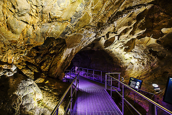 포토 JPG 주간 여행 한국 풍경 사람없음 야외 관광지 동굴 강원도 국내여행 영월 종유석 고씨동굴 태화산 국내포토 자연요소 아시아 산 파일형식