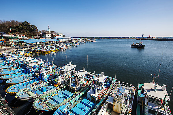 포토 JPG 주간 바다 여행 한국 풍경 사람없음 야외 관광지 항구 어선 강원도 동해 국내여행 고성_강원도 대진항 국내포토 자연요소 아시아 배_교통 교통시설 파일형식