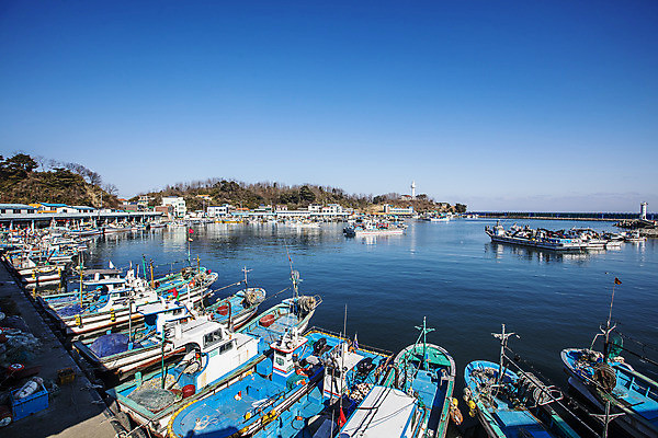 포토 JPG 주간 바다 여행 하늘 한국 풍경 사람없음 야외 관광지 항구 어선 강원도 동해 국내여행 고성_강원도 대진항 국내포토 자연요소 아시아 배_교통 교통시설 파일형식