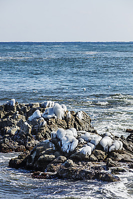 포토 JPG 주간 바다 여행 한국 풍경 사람없음 야외 관광지 항구 어선 강원도 동해 국내여행 고성_강원도 대진항 국내포토 자연요소 아시아 배_교통 교통시설 파일형식