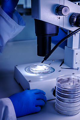 포토 JPG 해외이미지 직업 산업 과학 컨셉 건강 병원 현미경 실험 사람없음 전자제품 스터디 약 기계 장비 의사 실험실 바이러스 질병 생명공학 연구원 과학자 분석 묘사 생물학 감염 미생물 발견 조제 혁명 개발 화학물질 화학자 해외202007 해외포토 교육 의학 생물 실험기구 학습 의료진 화학 만들기 학자 파일형식