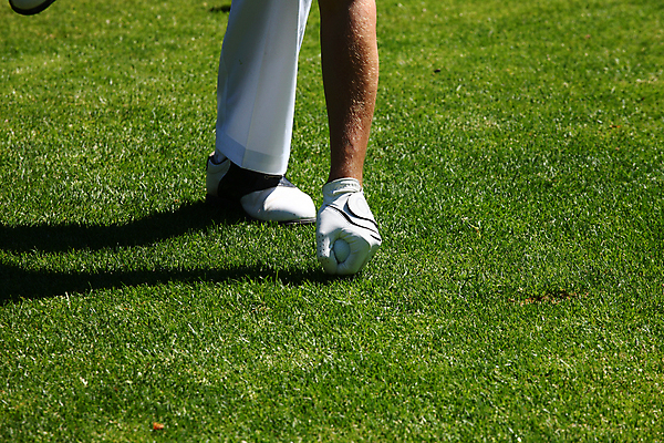 포토 JPG 해외이미지 백인 직업 라이프스타일 남자 스포츠 포즈 백그라운드 밭 골프 공 자연 놀이 휴가 건강 사람 잔디 취미 사람없음 야외 초록색 운동 일몰 경쟁 에너지 게임 운전사 골퍼 강의 묘사 그네 클럽 슛 충격 내추럴 골프티 페어웨이 플레이어 해외202007 해외포토 서양인 식물 컬러 컨셉 농업 운동선수 골프용품 생활 구기 노을 생태계 파일형식