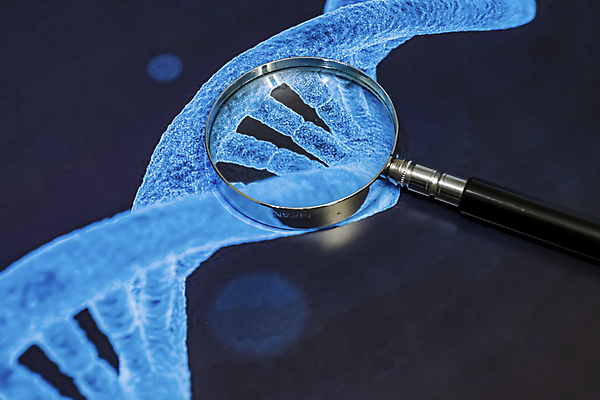 포토 JPG 해외이미지 직업 여자 과학 청진기 건강 병원 현미경 실험 사람 사람없음 치료 스터디 컴퓨터 약 건강관리 진료 장비 시험 환자 의사 긴급 실험실 바이러스 보호 질병 과학자 생물학 암 테라피 발견 조제 개발 돌봄 백신 심장병 해외202007 해외포토 교육 컨셉 의학 의료기기 모션 실험기구 관리 전자제품 학습 뷰티 의료진 만들기 학자 파일형식