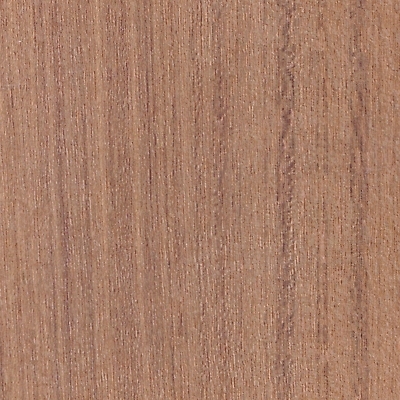 포토 JPG 해외이미지 백그라운드 패턴 자연 표면 사람없음 목재 장식 피부 질감 해외202007 해외포토 나무 무늬 재료 신체부위 생태계 파일형식