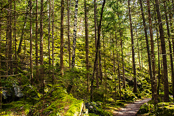 포토 JPG 해외이미지 길 지구 여행 농업 배낭 자국 산 주택 풍경 초원 사람없음 야외 초록색 달리기 환경 계곡 산책 하이킹 탐험 안개 시골 오스트리아 정상 오솔길 방향 순수 통로 알프스 통과 결백 루트 바이탈 방법 선로 완벽 웅장함 해외202007 해외포토 유럽 산업 컬러 컨셉 가방 모션 레저 날씨 휴식 건물 파일형식