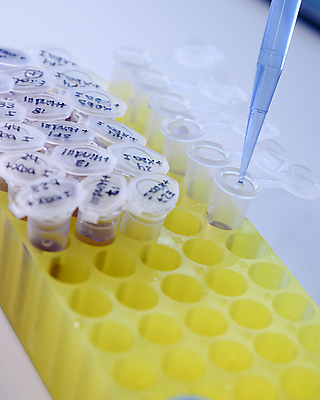 포토 JPG 해외이미지 과학 컨셉 건강 병원 실험 사람없음 스터디 약 장비 작업 액체 실험실 바이러스 질병 DNA 생명공학 플라스틱 약국 과학자 플라스크 분석 생물학 감염 미생물 튜브 발견 조제 혁명 개발 피펫 화학물질 화학자 살균 해외202007 해외포토 직업 교육 의학 재질 생물 실험기구 학습 화학 만들기 학자 파일형식