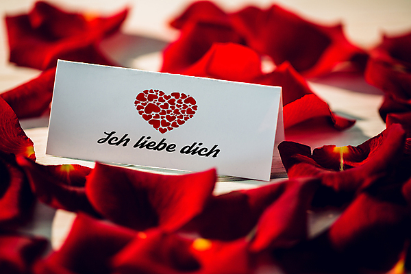 포토 JPG 해외이미지 꽃잎 발렌타인데이 사랑 근접촬영 사람없음 장미 쪽지 하트 편지 해외202007 해외포토 모양 꽃 감정 뷰포인트 데이이벤트 파일형식