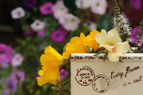 포토 JPG 해외이미지 디자인 꽃 분홍색 꽃다발 자연 주방용품 사람없음 장식 초록색 빛 컬러풀 갈색 노란색 식당 수확 흰색 신선 도자기 닫기 배열 민트 제비꽃 부드러움 보유 옛날 레터링 피튜니아 해외202007 해외포토 식물 컬러 생활용품 농업 모션 상점 감각 허브 생태계 파일형식