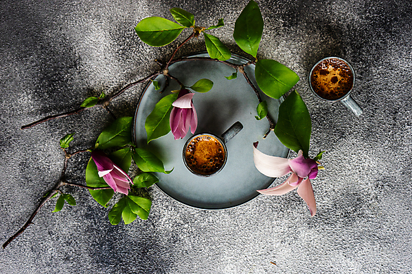 포토 JPG 해외이미지 나무 식물 계절 꽃잎 꽃 커피 음료 분홍색 꽃다발 백그라운드 컨셉 꽃무늬 탁자 아침 콩 프레임 사람없음 내부 컵 세트 봄 회색 낭만 머그컵 벚꽃 나뭇가지 시골 인사 신용카드 개화 맛 아침식사 목련 에스프레소 콘크리트 카피스페이스 해외202007 해외포토 주간 식기 컬러 가구 무늬 곡류 금융 식사 공백 예절 파일형식