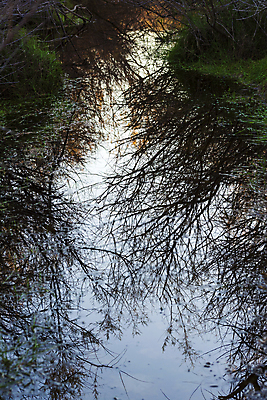 포토 JPG 해외이미지 나무 식물 계절 유럽 호수 잎 겨울 자연 하늘 풍경 사람없음 야외 물 강 반사 침묵 새벽 촉촉함 가을 나뭇가지 전원 시골 연못 고독 숲 그림 1월 내추럴 벌거벗은 생태학 우울감 해외202007 해외포토 자연요소 교육 감정 나라 소리 젖음 날짜 전기에너지 생태계 파일형식
